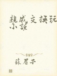 亲戚交换玩美妇小说