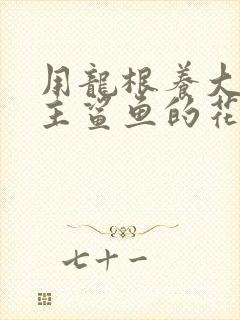 用龙根养大的公主鲨鱼的花