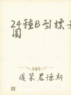 24种B型标意图