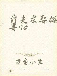 前夫求娶总裁追妻忙