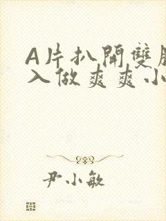 A片扒开双腿进入做爽爽小说