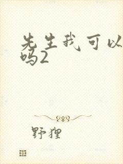 先生我可以上你吗2