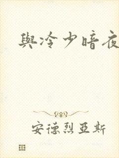 与冷少暗夜孽爱