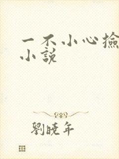 一不小心捡到爱小说