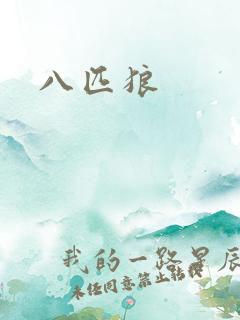 八匹狼