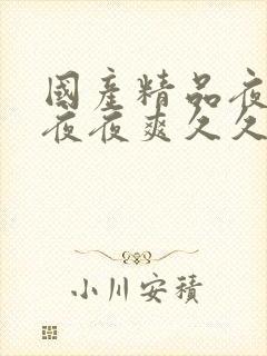 国产精品夜夜春夜夜爽久久小说