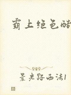 霸上绝色酷王爷