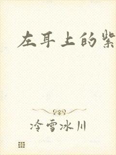 左耳上的紫水晶