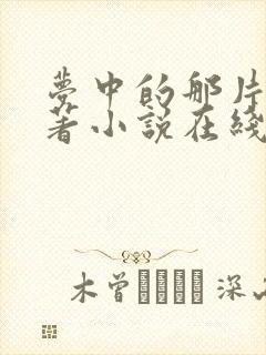 梦中的那片海原著小说在线阅读