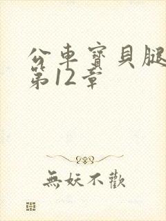 公车宝贝腿开点第12章
