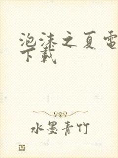 泡沫之夏电视剧下载