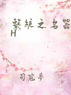 系统之名器勾男H