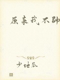 原来我不帅小说