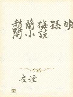 赵兰梅孙明笔趣阁小说