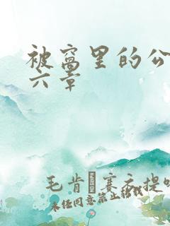 被窝里的公息第六章