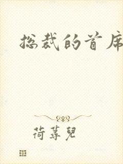 总裁的首席保姆