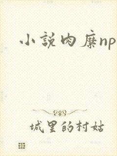 小说肉糜np