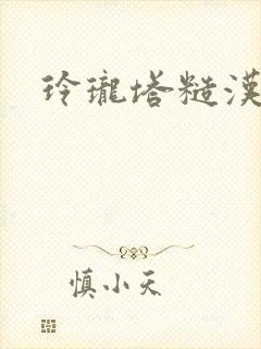 玲珑塔糙汉租客