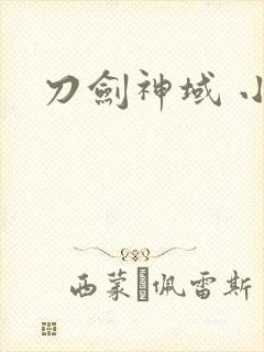 刀剑神域 小说