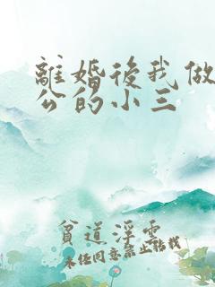 离婚后我做了老公的小三