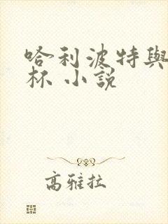 哈利波特与火焰杯 小说