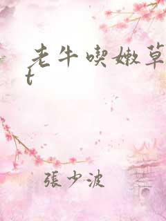 老牛吃嫩草txt
