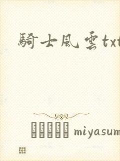 骑士风云txt