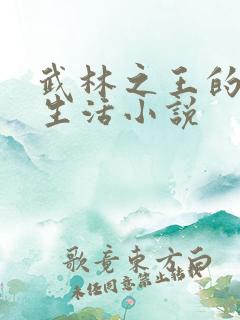 武林之王的退隐生活小说