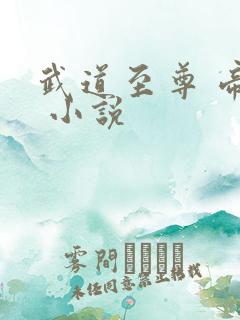 武道至尊 帝临 小说