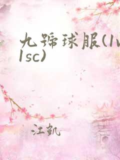 九号球服(1v1sc)