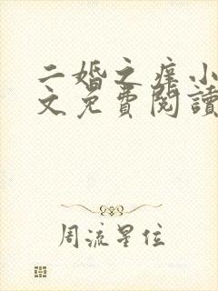 二婚之痒小说全文免费阅读