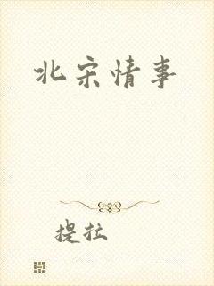 北宋情事