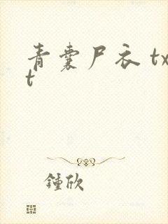 青囊尸衣 txt