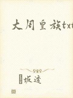 大周皇族txt