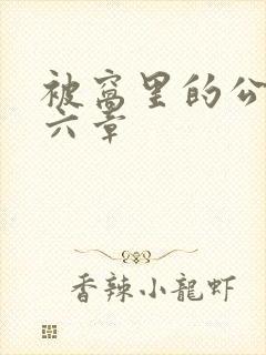 被窝里的公息十六章