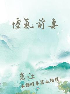 傻气前妻