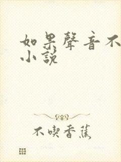 如果声音不记得小说