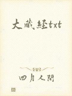 大藏经txt
