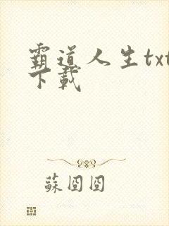 霸道人生txt下载