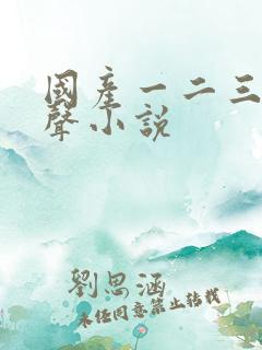 国产一二三区有声小说