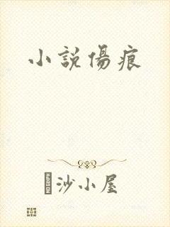 小说伤痕