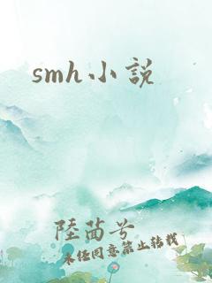 smh小说