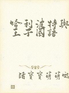 哈利波特与混血王子国语