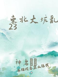 东北大坑乱1—23