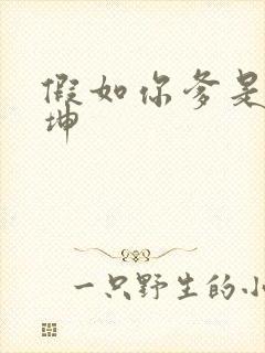 假如你爹是谢广坤