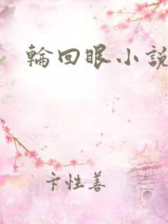 轮回眼小说