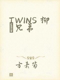 TWINS 柳澤兄弟
