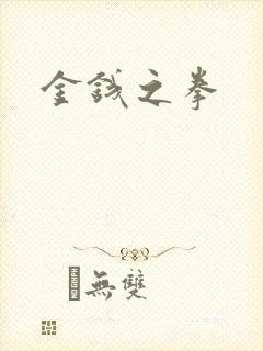 金钱之拳