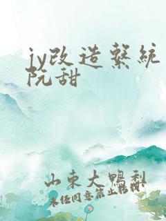 jy改造系统人阮甜