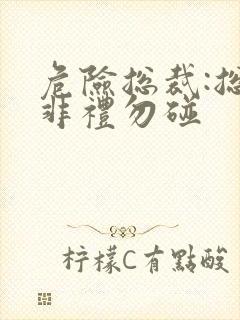 危险总裁:总裁非礼勿碰